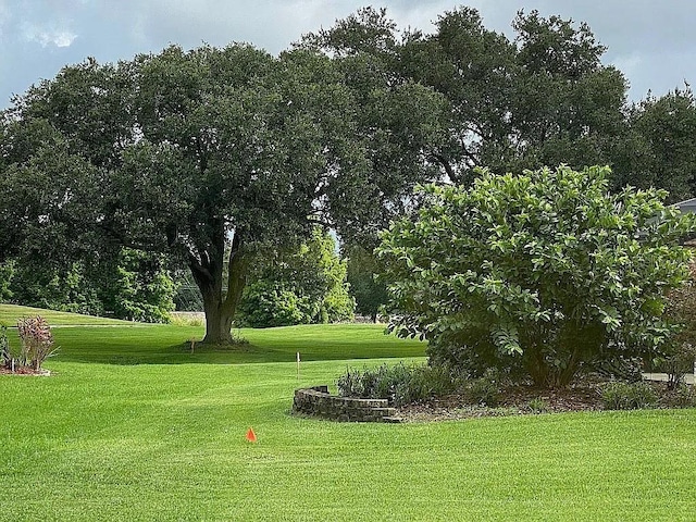 view of property's community featuring a lawn