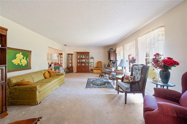 living area featuring a textured ceiling and carpet