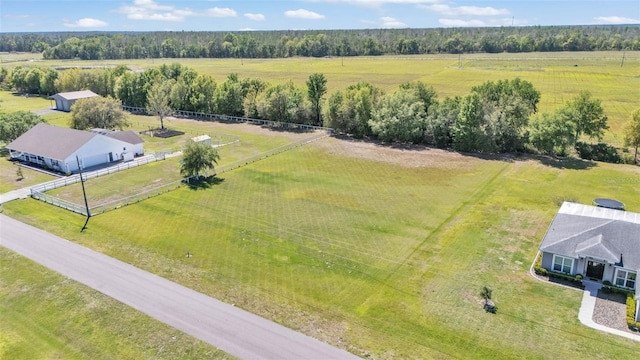 14718 Evans Ranch Rd, Lakeland, FL 33809 - photo 4