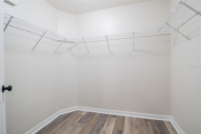 spacious closet featuring wood finished floors