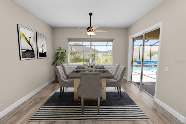 dining space with plenty of natural light, light wood-type flooring, and ceiling fan