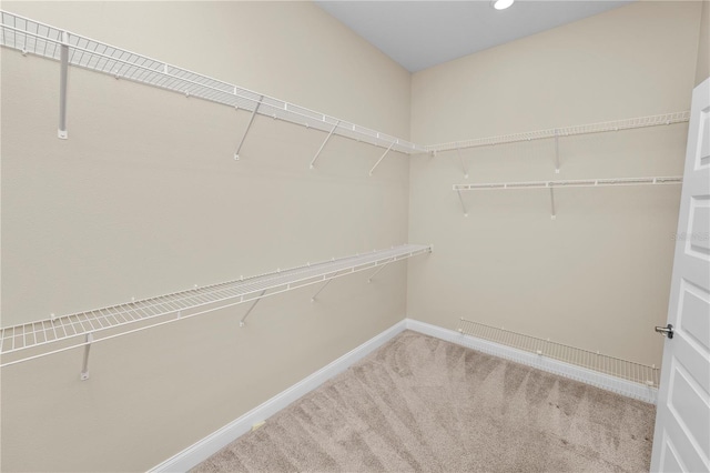 spacious closet with carpet