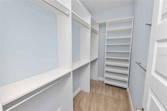 walk in closet with light carpet