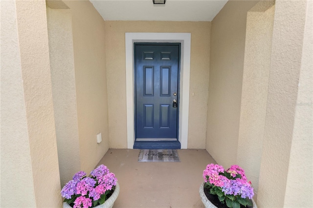 view of exterior entry with stucco siding