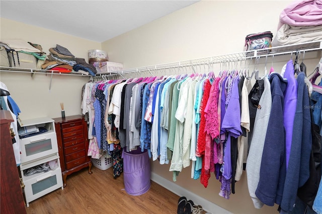 spacious closet featuring wood finished floors