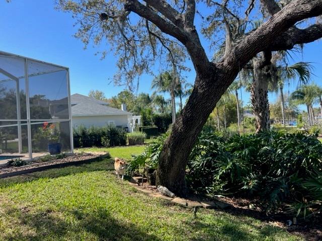 view of yard with a lanai