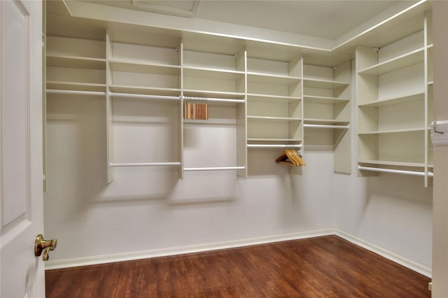 spacious closet featuring dark wood-style floors