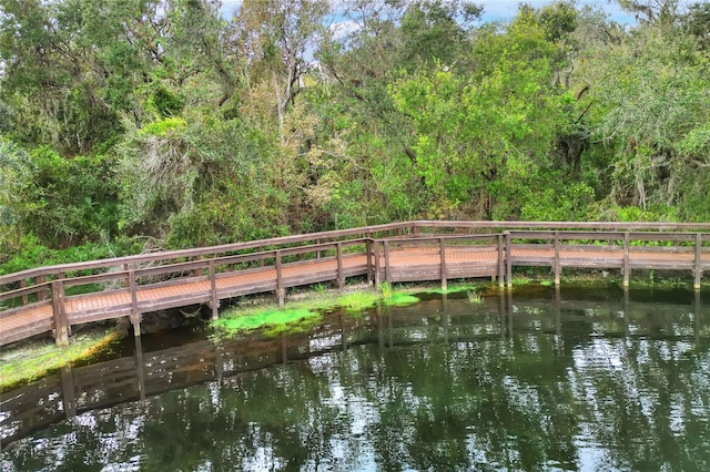 dock area with a water view