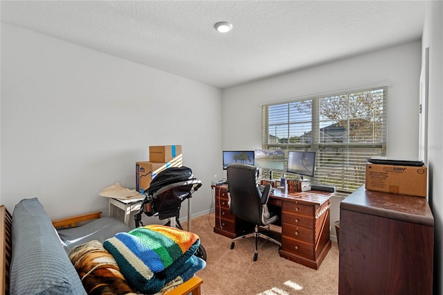 office area featuring baseboards, light carpet, and a textured ceiling