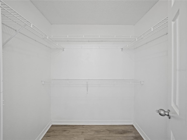 walk in closet with wood finished floors