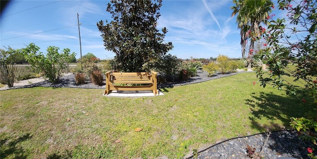 223 S Landry Rd, Avon Park, FL 33825 - view of yard with fence