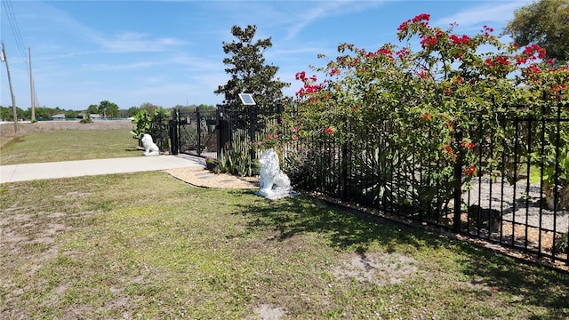 223 S Landry Rd, Avon Park, FL 33825 - view of yard with a gate and fence
