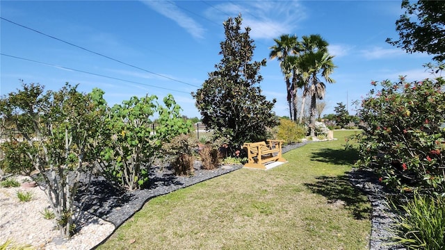 223 S Landry Rd, Avon Park, FL 33825 - view of yard