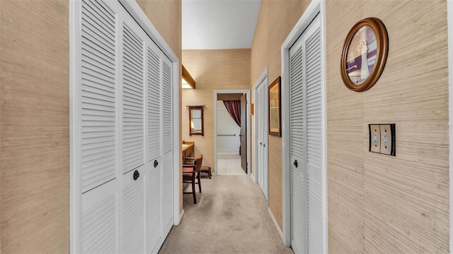 hallway featuring carpet floors