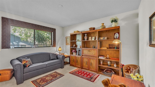 living area with a textured ceiling and carpet