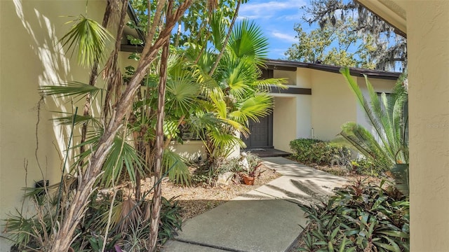 view of exterior entry featuring stucco siding