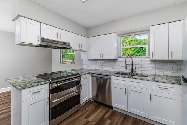 kitchen featuring dark wood-style floors, a sink, stainless steel appliances, under cabinet range hood, and tasteful backsplash