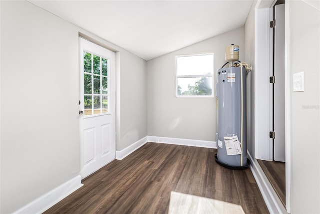 doorway featuring water heater, a healthy amount of sunlight, lofted ceiling, and wood finished floors