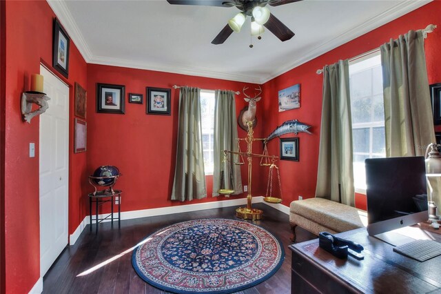 2653 State Road 557, Lake Alfred, FL 33850 - photo 37