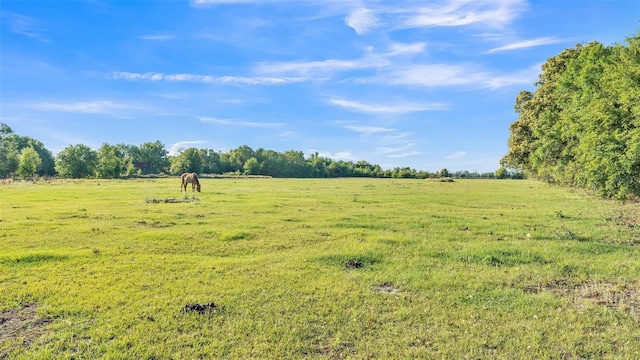 6981 Snell Rd, Bartow, FL 33830 - photo 49