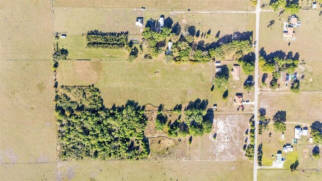 6981 Snell Rd, Bartow, FL 33830 - photo 57