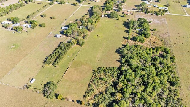 6981 Snell Rd, Bartow, FL 33830 - photo 59