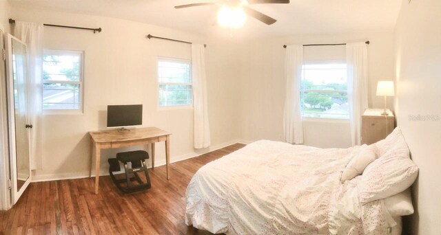 2816 Fairmount Ave, Lakeland, FL 33803 - bedroom featuring multiple windows, wood finished floors, and a ceiling fan