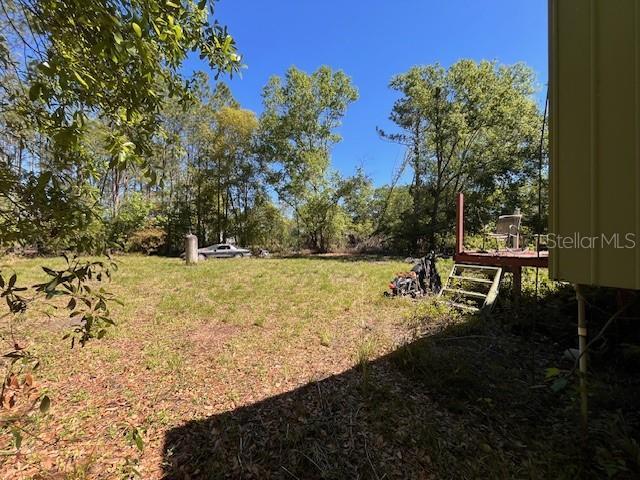 9702 Costine Meadows Dr, Lakeland, FL 33809 - photo 5