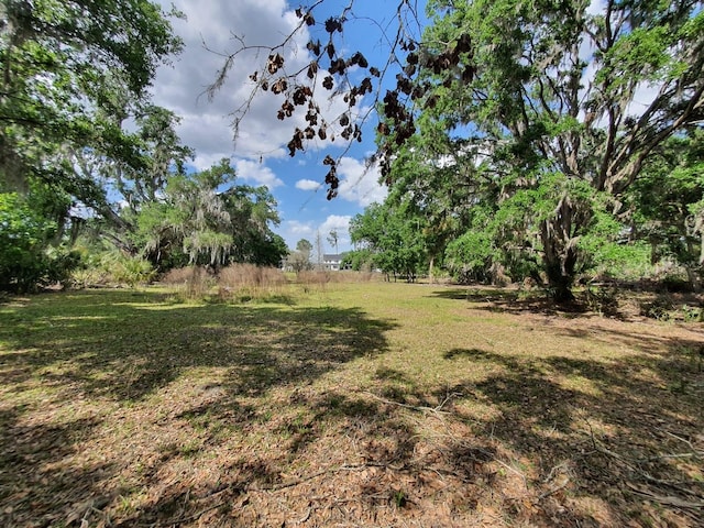 8922 Pritcher Rd, Lithia, FL 33547 - view of yard