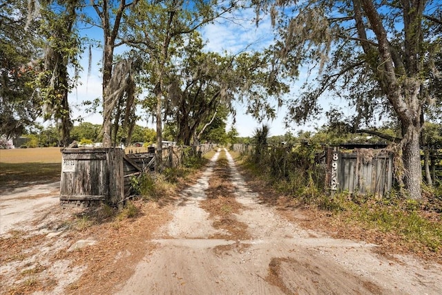 8922 Pritcher Rd, Lithia, FL 33547 - view of road