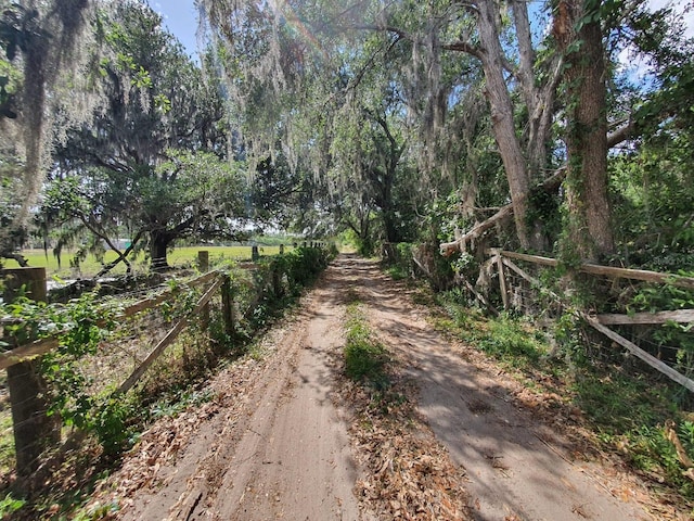 8922 Pritcher Rd, Lithia, FL 33547 - view of dirt / gravel road