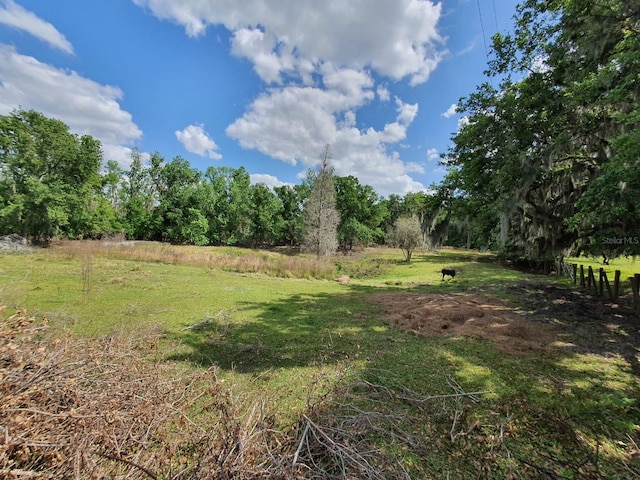 8922 Pritcher Rd, Lithia, FL 33547 - view of yard