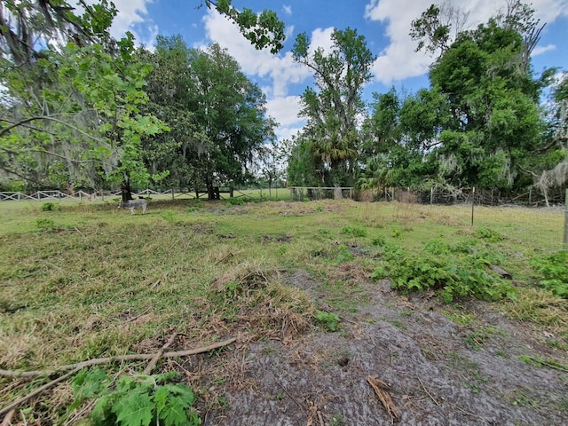8922 Pritcher Rd, Lithia, FL 33547 - view of yard