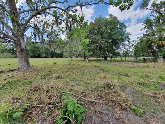 8922 Pritcher Rd, Lithia, FL 33547 - view of yard