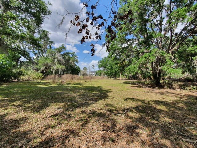8922 Pritcher Rd, Lithia, FL 33547 - view of yard