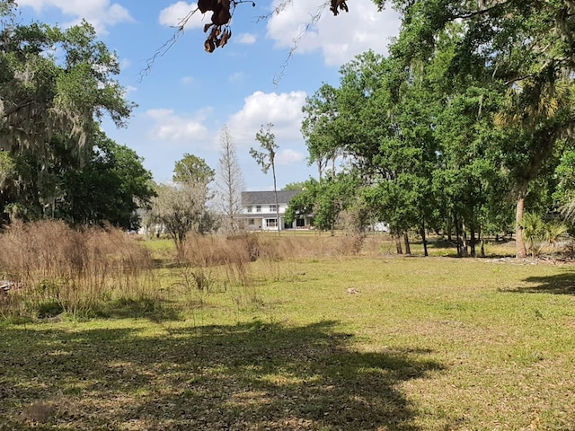 8922 Pritcher Rd, Lithia, FL 33547 - view of grassy yard