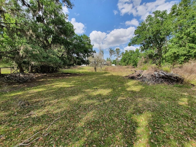 8922 Pritcher Rd, Lithia, FL 33547 - view of grassy yard