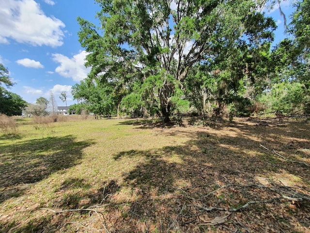 8922 Pritcher Rd, Lithia, FL 33547 - view of yard