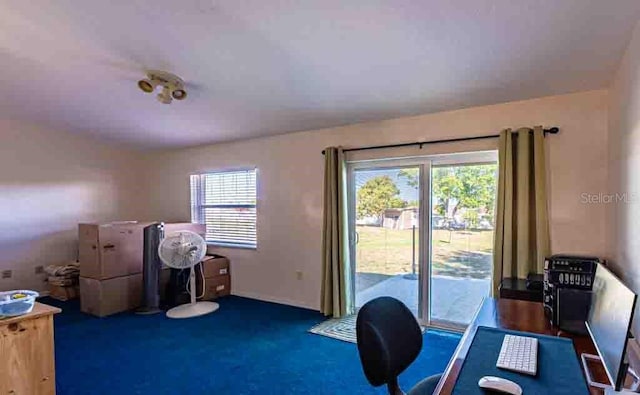 720 Cedar Knoll Dr N, Lakeland, FL 33809 - office featuring plenty of natural light