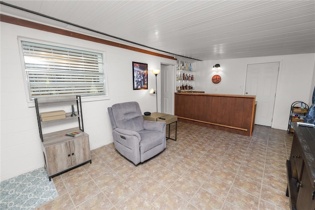 living area featuring bar area