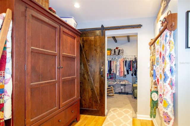 view of closet