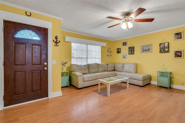 202 Saint Lucie Rd, Winter Haven, FL 33884 - living room with light wood finished floors, a ceiling fan, ornamental molding, a textured ceiling, and baseboards