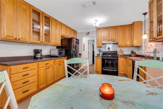 202 Saint Lucie Rd, Winter Haven, FL 33884 - kitchen with black appliances, under cabinet range hood, a sink, glass insert cabinets, and decorative light fixtures