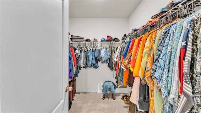 spacious closet featuring carpet