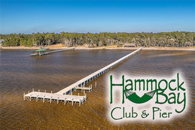 dock area featuring a water view and a forest view