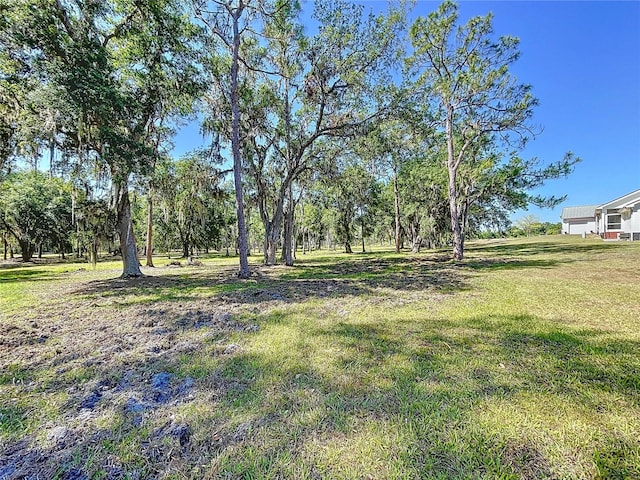 3600 Bunker Rd, Lakeland, FL 33811 - photo 86