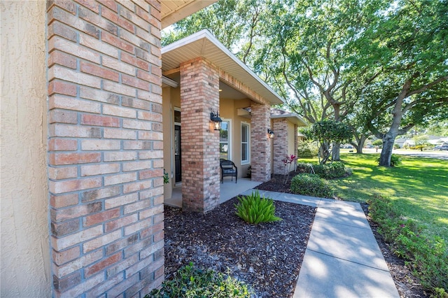 view of exterior entry featuring a lawn and stucco siding