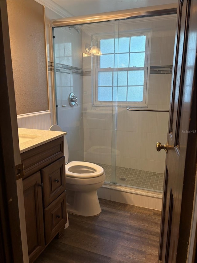 1135 Palace Pl, Lakeland, FL 33813 - full bathroom featuring vanity, a stall shower, wood finished floors, and a wainscoted wall