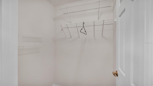 3273 Sennett Cir, Oxford, FL 34484 - view of walk in closet