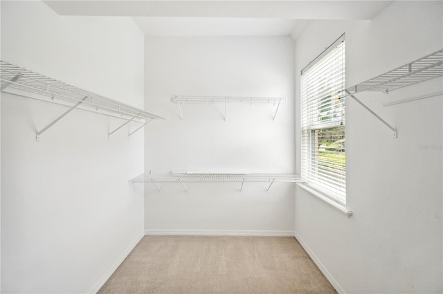 walk in closet featuring light carpet